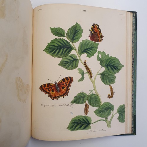 607 - Wilkes (Benjamin), English Moths And Butterflies, 120 coloured plates, leather and cloth bound