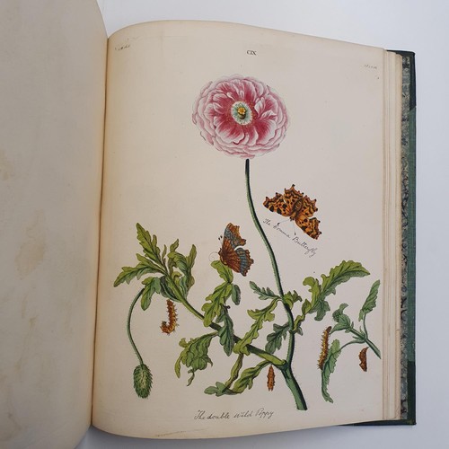 607 - Wilkes (Benjamin), English Moths And Butterflies, 120 coloured plates, leather and cloth bound