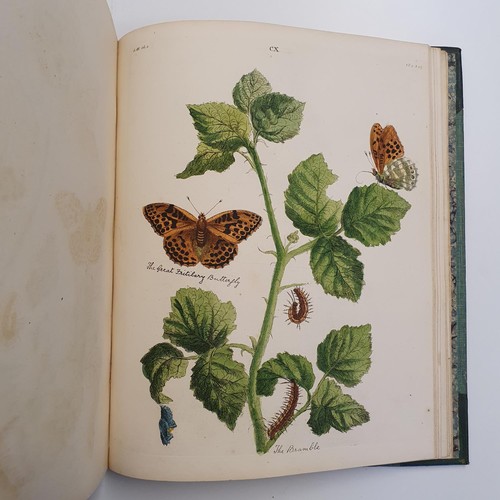 607 - Wilkes (Benjamin), English Moths And Butterflies, 120 coloured plates, leather and cloth bound