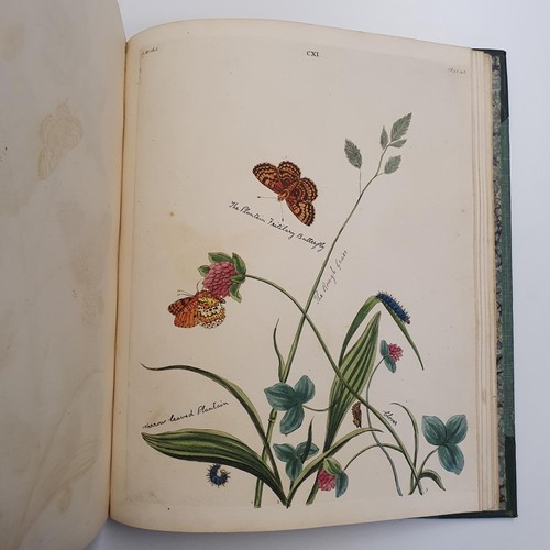 607 - Wilkes (Benjamin), English Moths And Butterflies, 120 coloured plates, leather and cloth bound