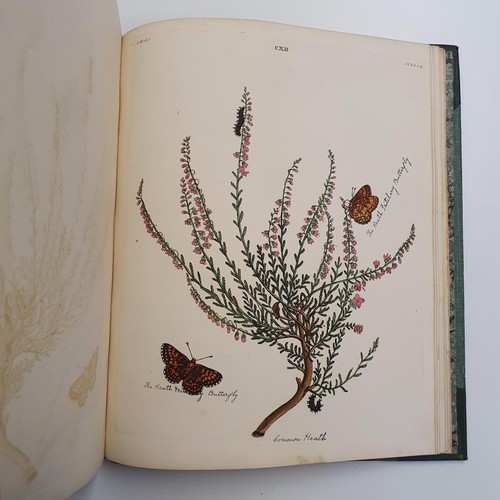 607 - Wilkes (Benjamin), English Moths And Butterflies, 120 coloured plates, leather and cloth bound