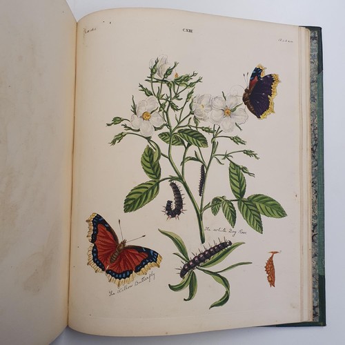 607 - Wilkes (Benjamin), English Moths And Butterflies, 120 coloured plates, leather and cloth bound