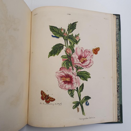 607 - Wilkes (Benjamin), English Moths And Butterflies, 120 coloured plates, leather and cloth bound