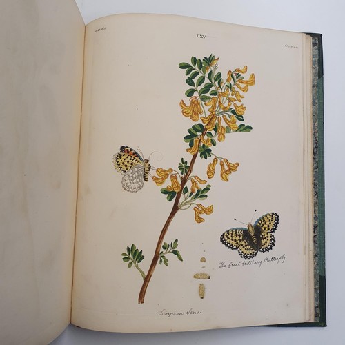 607 - Wilkes (Benjamin), English Moths And Butterflies, 120 coloured plates, leather and cloth bound