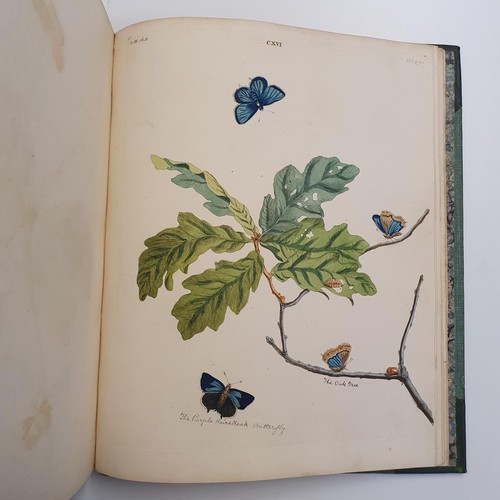 607 - Wilkes (Benjamin), English Moths And Butterflies, 120 coloured plates, leather and cloth bound