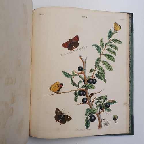 607 - Wilkes (Benjamin), English Moths And Butterflies, 120 coloured plates, leather and cloth bound