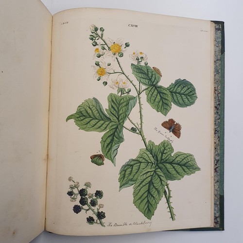 607 - Wilkes (Benjamin), English Moths And Butterflies, 120 coloured plates, leather and cloth bound