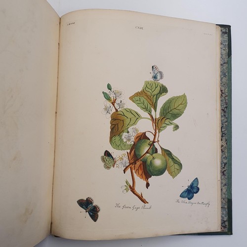 607 - Wilkes (Benjamin), English Moths And Butterflies, 120 coloured plates, leather and cloth bound