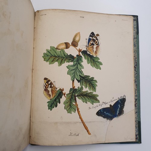 607 - Wilkes (Benjamin), English Moths And Butterflies, 120 coloured plates, leather and cloth bound