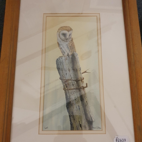 521 - Marion Tuffrey, a barn owl, watercolour, signed, 27 x 12 cm, Geraldine Shipman, study of a barn owl,... 