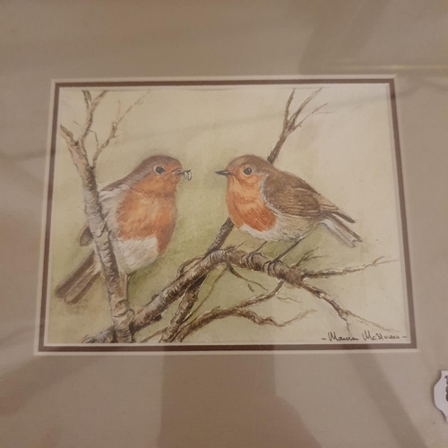 522 - Maureen Mcllveen, study of two robins, watercolour, signed, 12 x 14 cm, a print of a dipper, 11 x 12... 