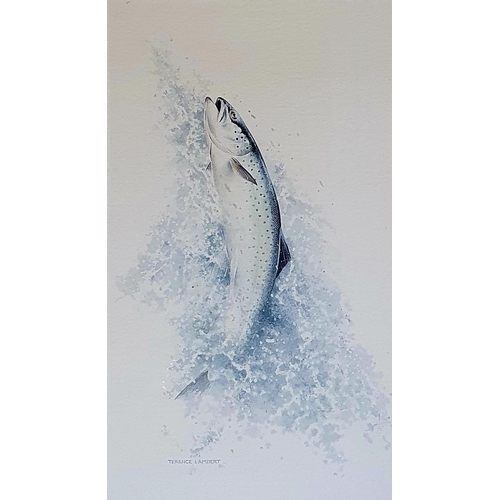 551 - Terence Lambert, study of a trout, watercolour, signed, 37 x 24 cm 
Provenance:  Sold on behalf of S... 