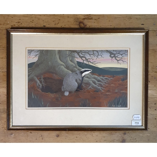 772 - Richard Hall, study of a badger, gouache, signed and dated 1981, 23 x 41 cm