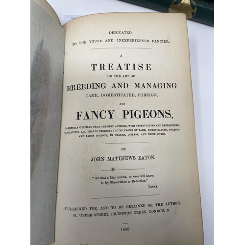 504 - Miall (Bernard), Pigeons & Spiders, Eaton (John Matthews) A Treaties On The Art Of Breeding And Mana... 