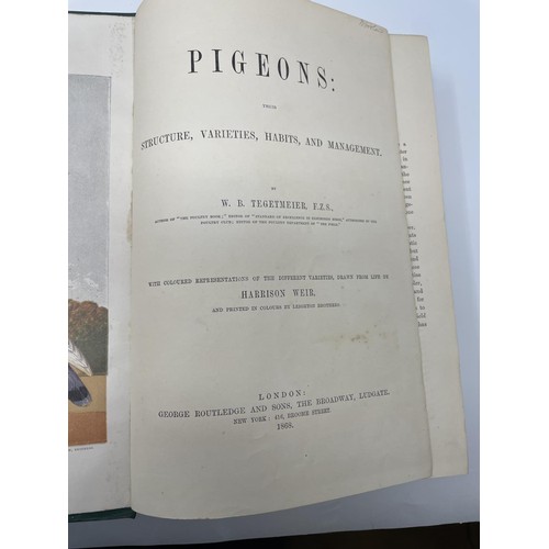 504 - Miall (Bernard), Pigeons & Spiders, Eaton (John Matthews) A Treaties On The Art Of Breeding And Mana... 