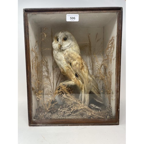 506 - Taxidermy: A barn owl in a glazed case, 38 cm high