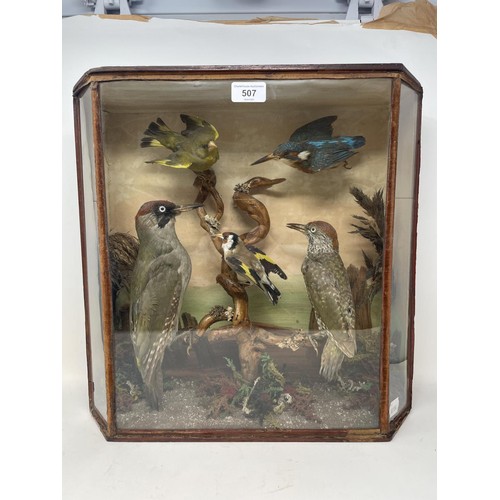 507 - Taxidermy:  A pair of woodpeckers, two finches and a kingfisher, in a glazed case, 44 cm wide