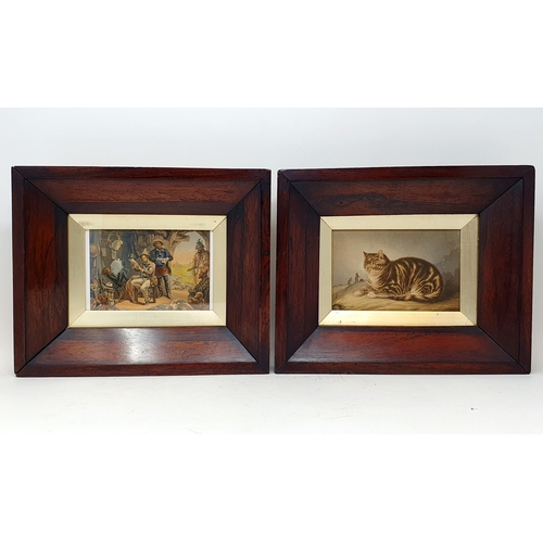 769 - A Baxter print of a sleeping cat and three mice, in a rosewood frame, 25 x 30 cm, and another (2)