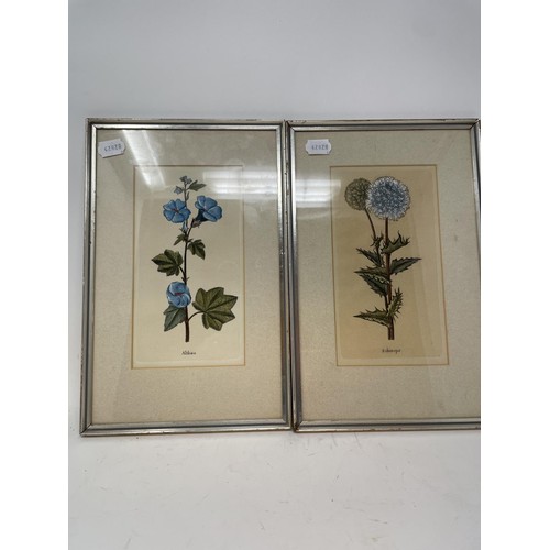 378 - A Chinese print of flowers, 38 x 25 cm, two landscapes, and two prints of flowers (5)