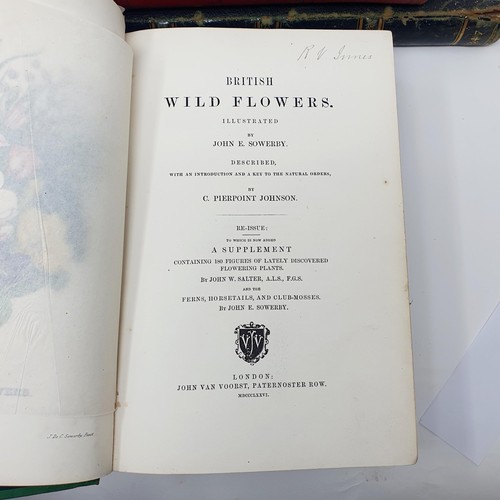 580 - Sowerby (John E), British Wild Flowers, Morris (Rev. F O), History of British Butterflies, Scott (Wa... 