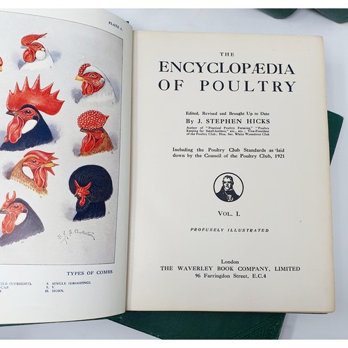 584 - The Cyclopedia of Poultry, 2 vols. and assorted other Poultry books (box)