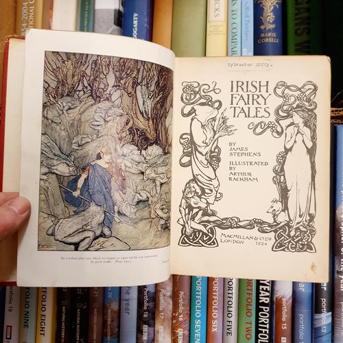 597 - Stephens (James), Irish Fairy Tales, illustrated by Arthur Rackham, published McMillan & Co., 1924, ... 