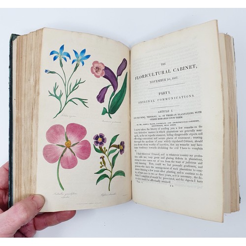 616 - The Floricultural Cabinet, illustrated hand coloured botanical engravings, cloth, binding poor