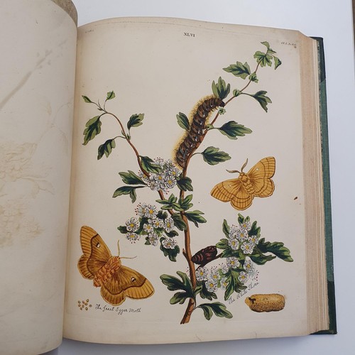 474 - Wilkes (Benjamin), English Moths And Butterflies, 120 coloured plates, leather and cloth bound