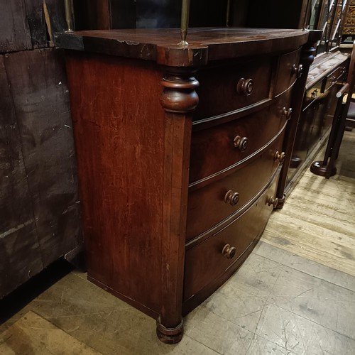 931 - A Victorian mahogany bow front chest, having two short and three long drawers, 133 cm wide