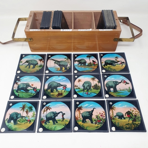 152 - Assorted novelty magic lantern slides, in a walnut case