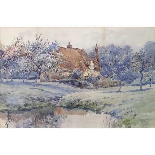 328 - Early 20th century, English school, study of a cottage, watercolour, monogrammed CMD, 36 x 53 cm, 19... 