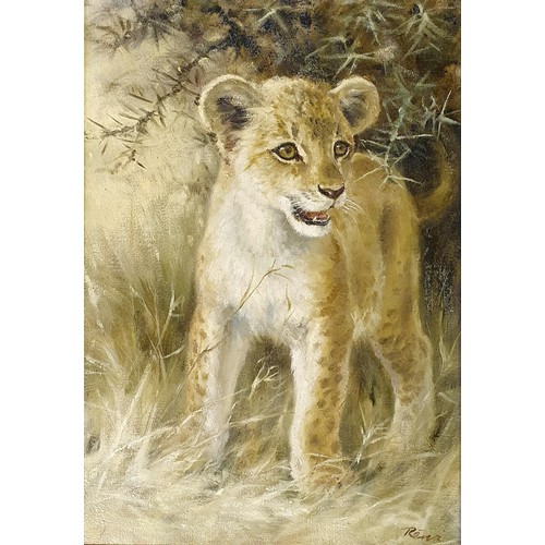 332 - Rena, study of a lion cub, oil on canvas, signed, 50 x 34 cm