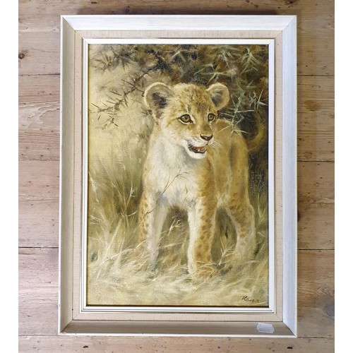 332 - Rena, study of a lion cub, oil on canvas, signed, 50 x 34 cm