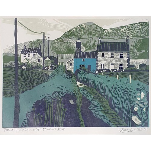 359 - John Stops, Farms Under Cane, Widi St Davids III, limited edition print, 1/3, signed in pencil, 34 x... 