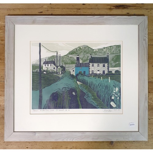 359 - John Stops, Farms Under Cane, Widi St Davids III, limited edition print, 1/3, signed in pencil, 34 x... 