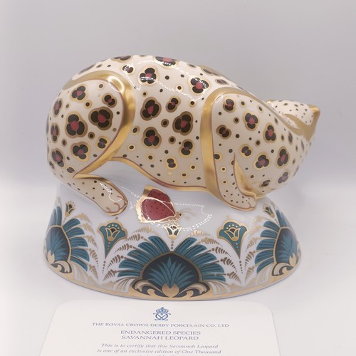 620 - A Royal Crown Derby limited edition paperweight, Savannah Leopard, 580/1000, 11 cm high, with a cert... 