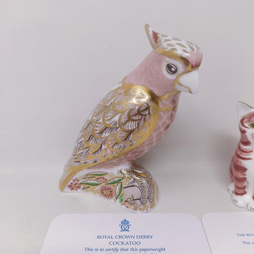 623 - A Royal Crown Derby limited edition paperweight, Cockatoo, 1146/2500, 15 cm high, with a certificate... 