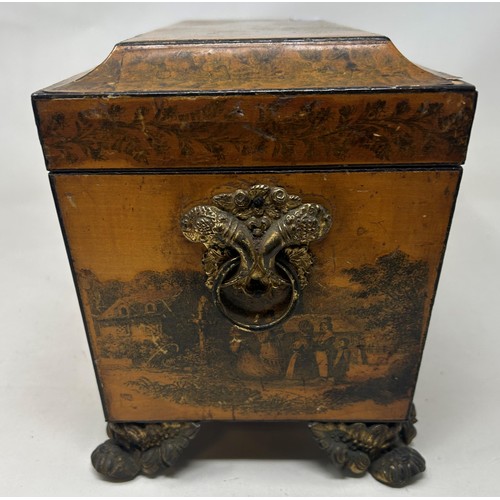 673 - A 19th century satinwood tea caddy, with transfer printed decoration, 32 cm wide