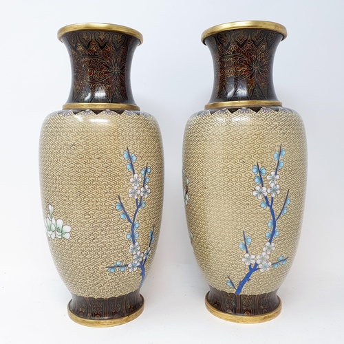 542 - A pair of 20th century cloisonné vases, decorated flowers, 30 cm high