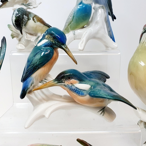 555 - A Continental figure of two kingfishers, and assorted other ceramics (box)