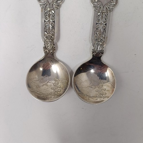 108 - A pair of Norwegian silver coloured metal caddy type spoons (2)