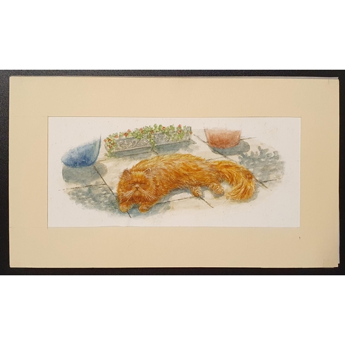 560 - Graham Thomas Oakley (British, 1929-2022), A cat sleeping, watercolour, unsigned, 7 x 16 cm (unframe... 