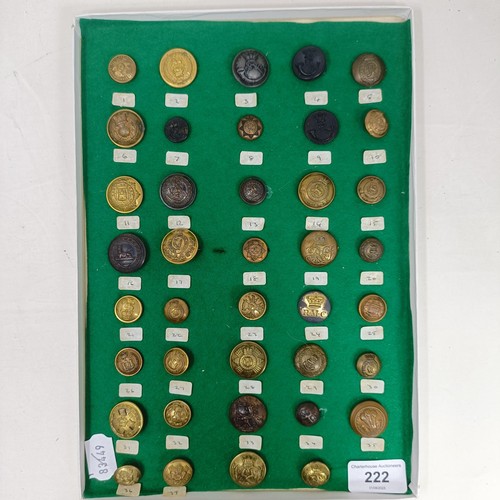 222 - A good collection of Victorian and later buttons, including RNC Sandhurst, Armagh Rifles, and others