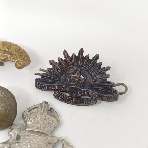 245 - Assorted military badges, shoulder titles and other items