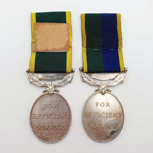 179 - A Territorial Efficiency Medal, awarded to 892239 Dvr G S Hampshire RASC, and a T & AVR Efficiency M... 