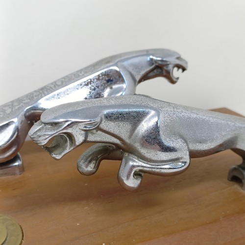 1219 - A pair of Jaguar chrome leaping cat mascots, mounted on a wooden plaque, applied a Jaguar Cars Ltd, ... 