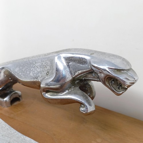 1219 - A pair of Jaguar chrome leaping cat mascots, mounted on a wooden plaque, applied a Jaguar Cars Ltd, ... 