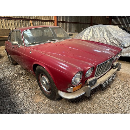 1 - 1969 Jaguar XJ6 4.2
Being sold without reserve
Registration number THT 963G
Red with a mushroom leat...