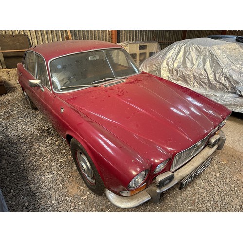 1 - 1969 Jaguar XJ6 4.2
Being sold without reserve
Registration number THT 963G
Red with a mushroom leat...