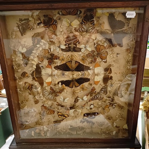 1540 - A cuckoo clock, an oak wall cabinet with mounted butterflies and moths, a ship in a bottle, and asso... 